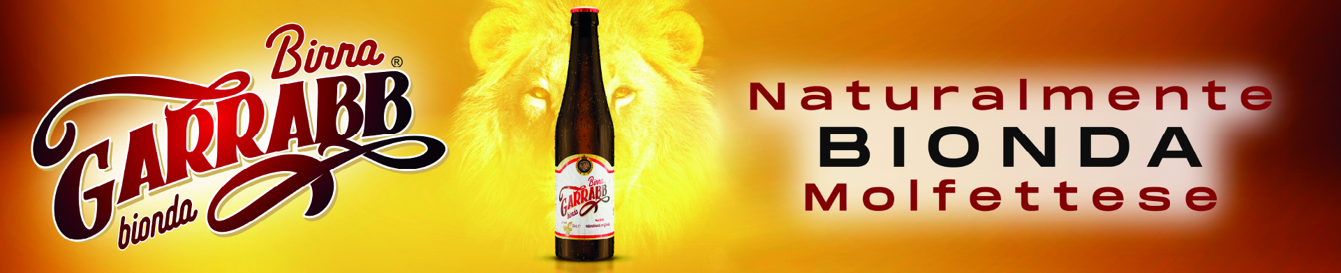 Tavola disegno 12-100.jpg